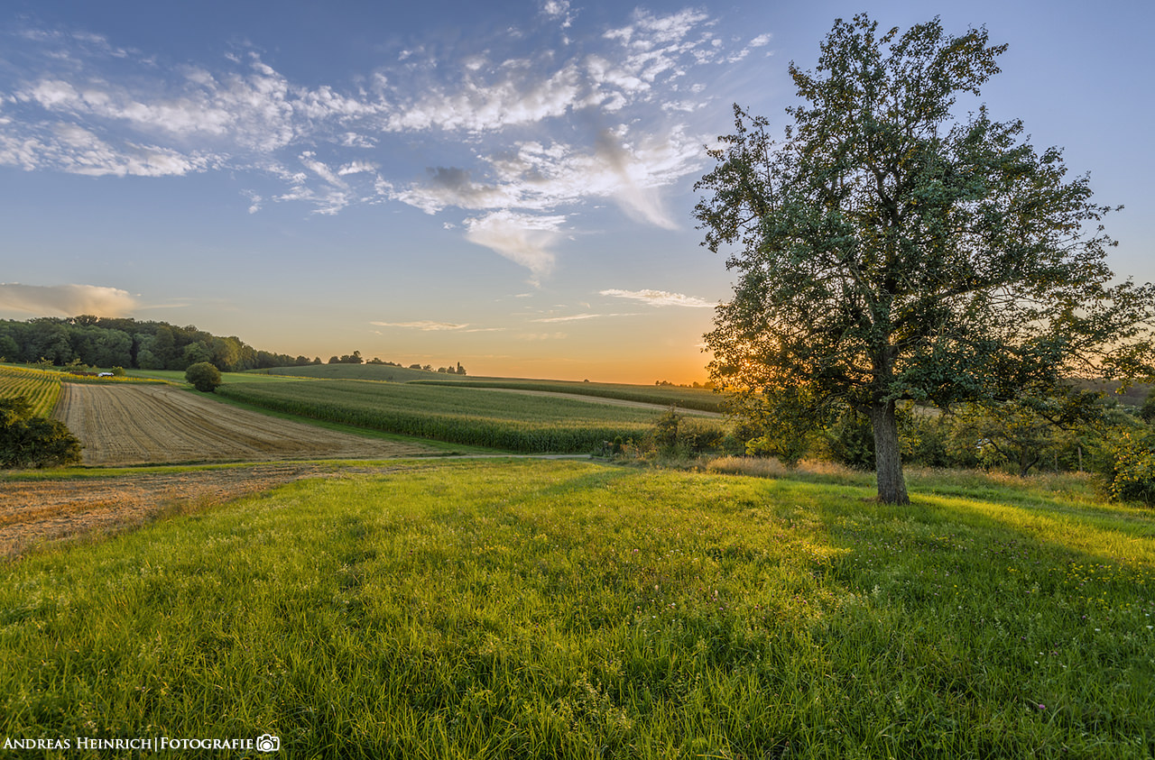 Sonnenuntergang in einem Feld in der nähe von Dahenfeld