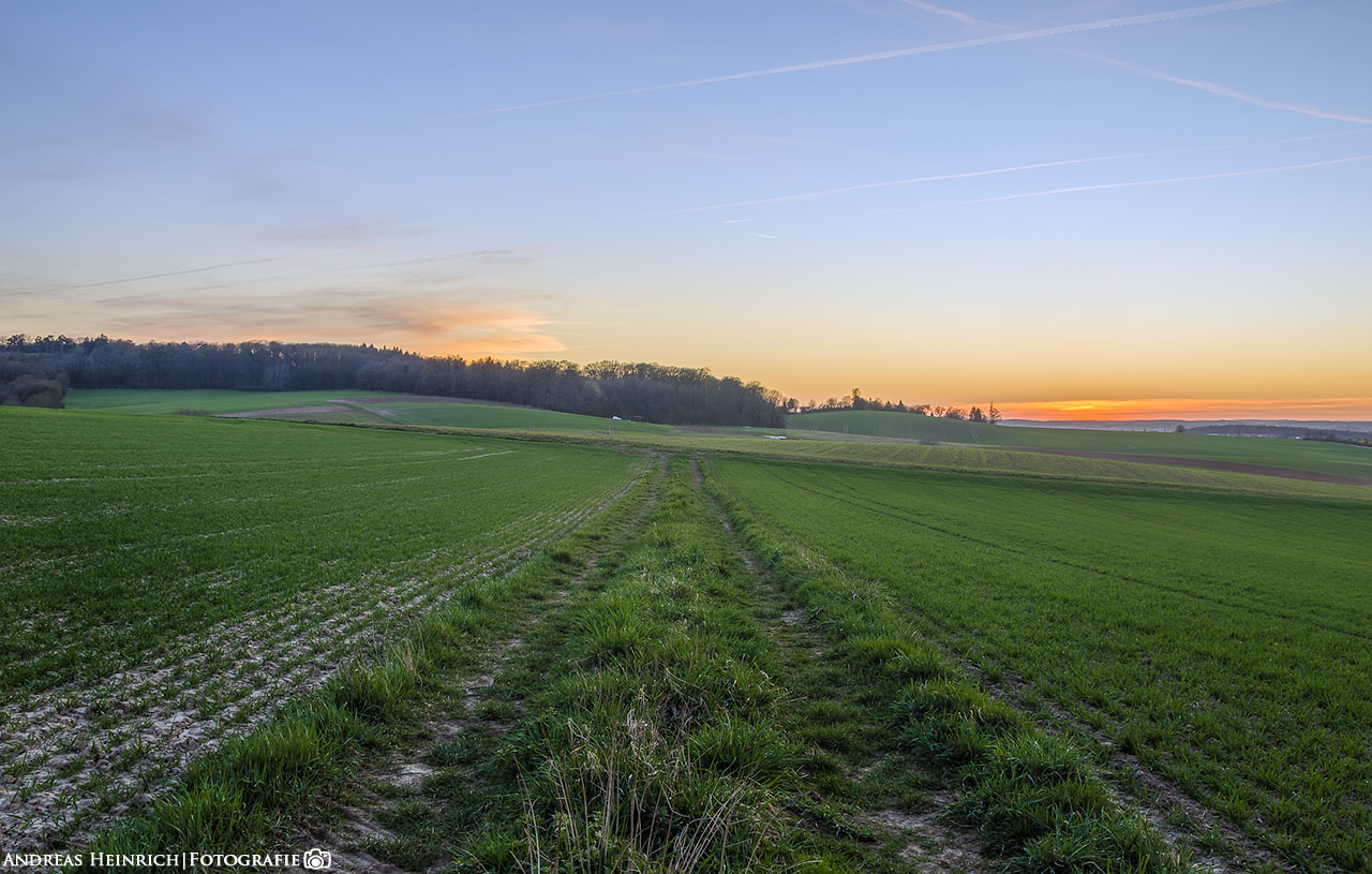 Feldweg bei Dahenfeld zur Blauen Stunde