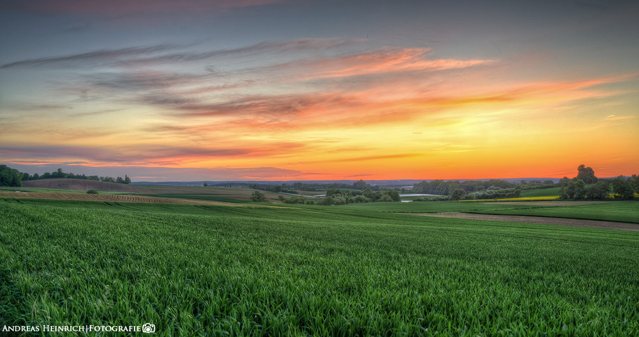 Blaue Stunde in den Feldern bei Dahenfeld