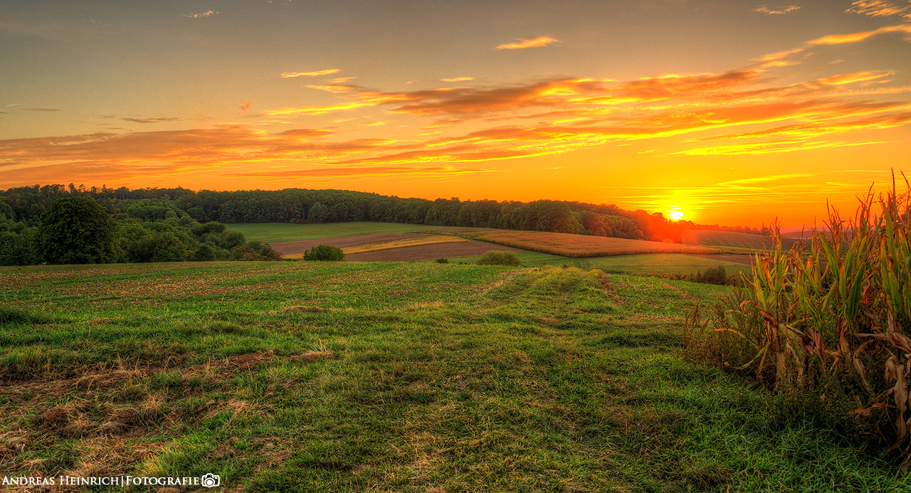 Sonnenuntergang in den Feldern bei Dahenfeld